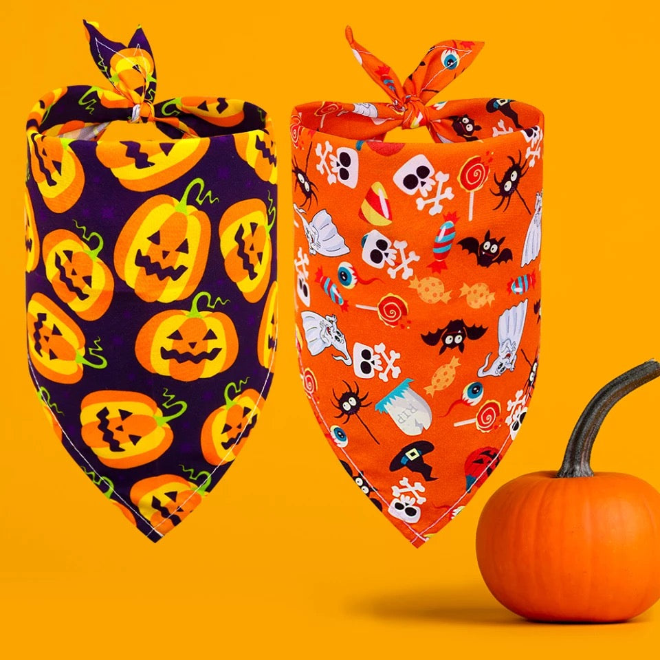NEW PRODUCT Halloween style bibs for pets-4
