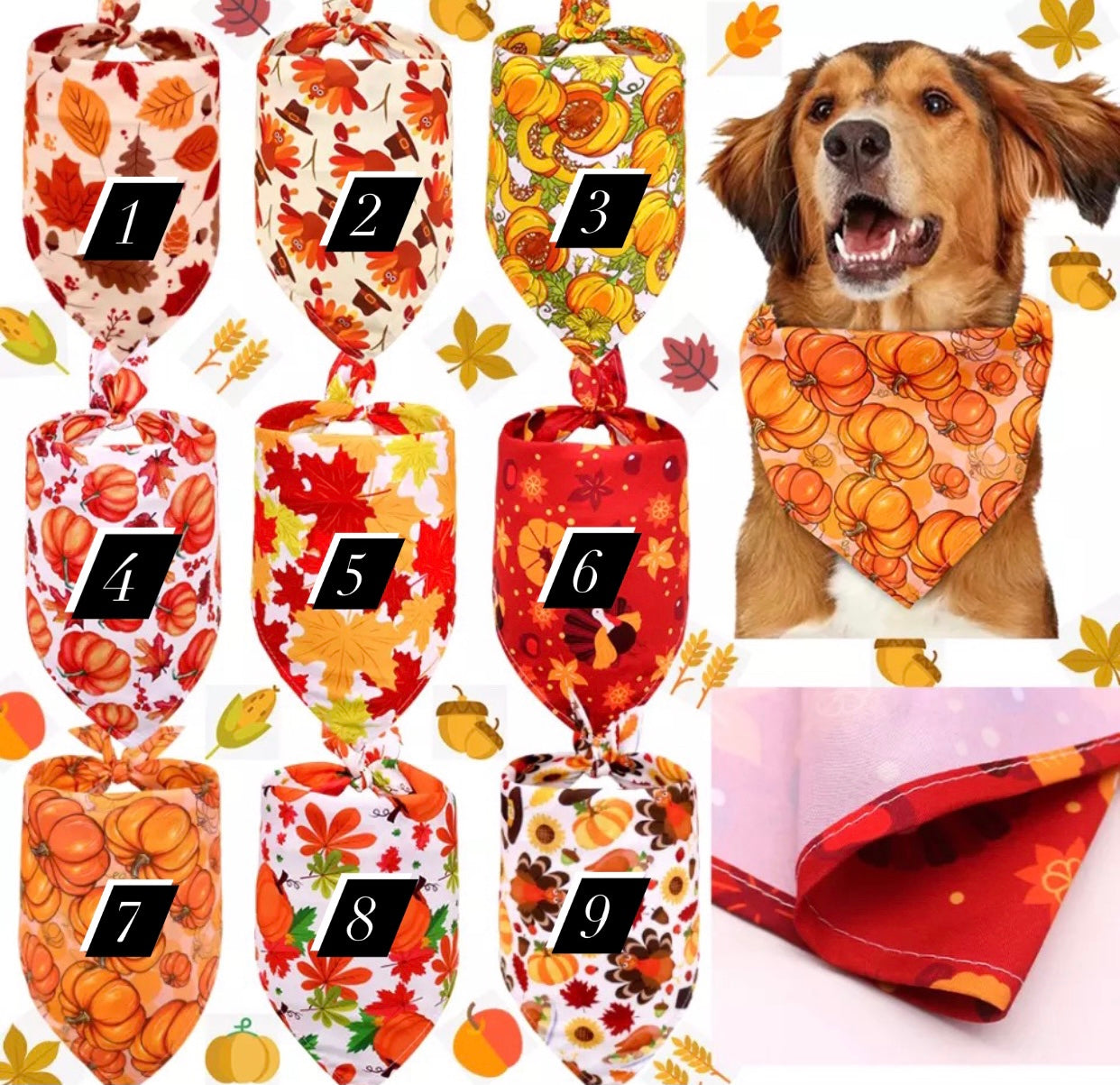 NEW PRODUCT Halloween style bibs for pets-3