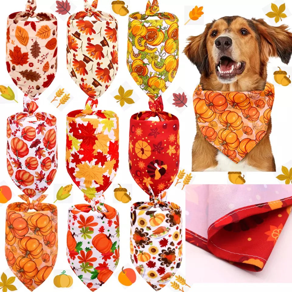 NEW PRODUCT Halloween style bibs for pets-0