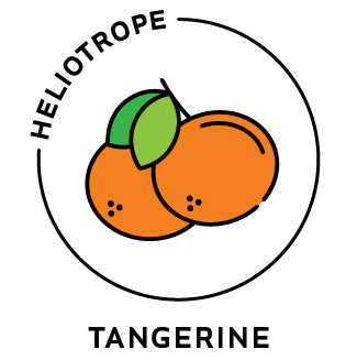 Essential Oil - Tangerine-0