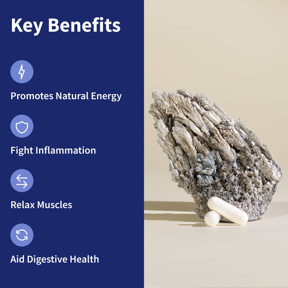 Magnesium Complex - 6 Bottles